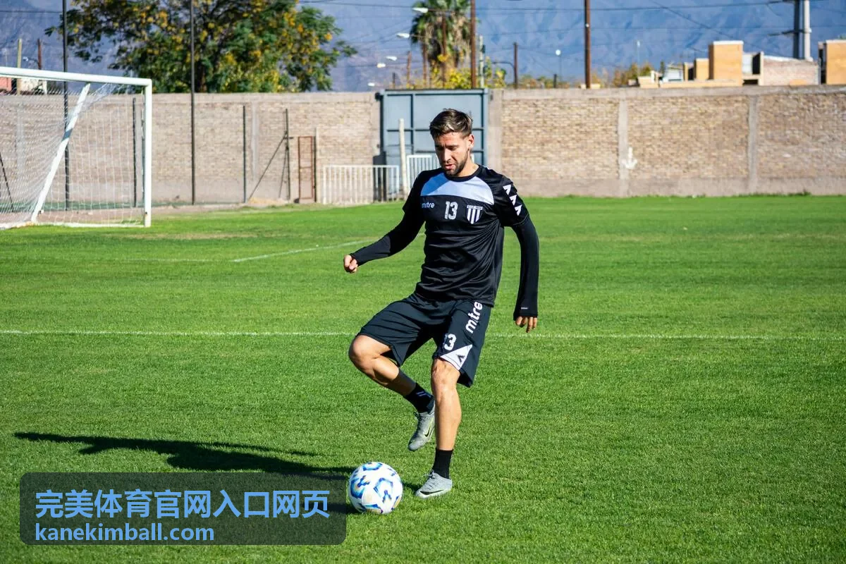 完美体育官网入口网页阵容与伤停动态配图