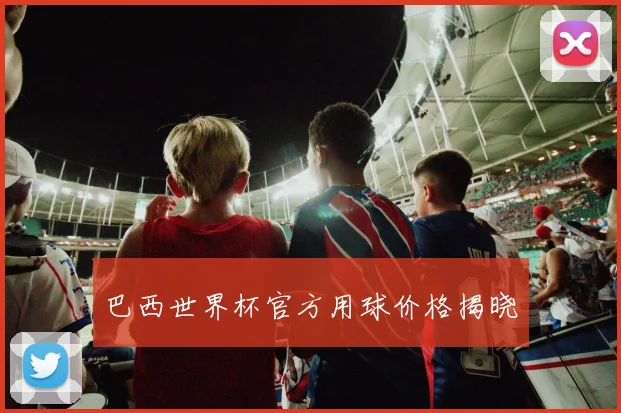 巴西世界杯官方用球价格揭晓
