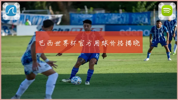 巴西世界杯官方用球价格揭晓