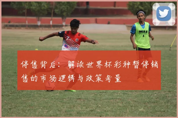停售背后:解读世界杯彩种暂停销售的市场逻辑与政策考量