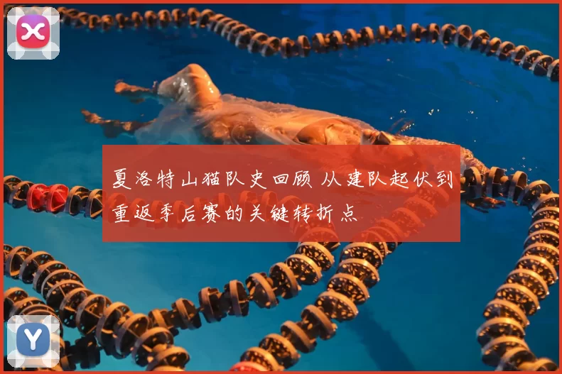 夏洛特山猫队史回顾 从建队起伏到重返季后赛的关键转折点