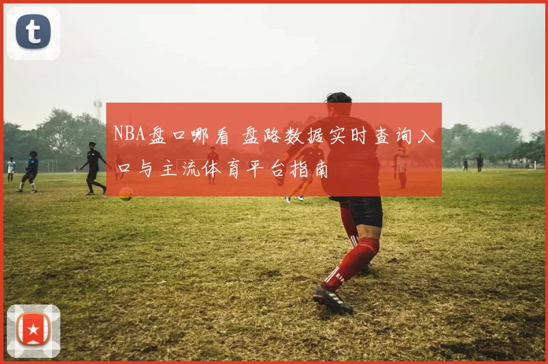 NBA盘口哪看 盘路数据实时查询入口与主流体育平台指南