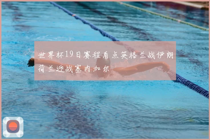 世界杯19日赛程看点英格兰战伊朗荷兰迎战塞内加尔