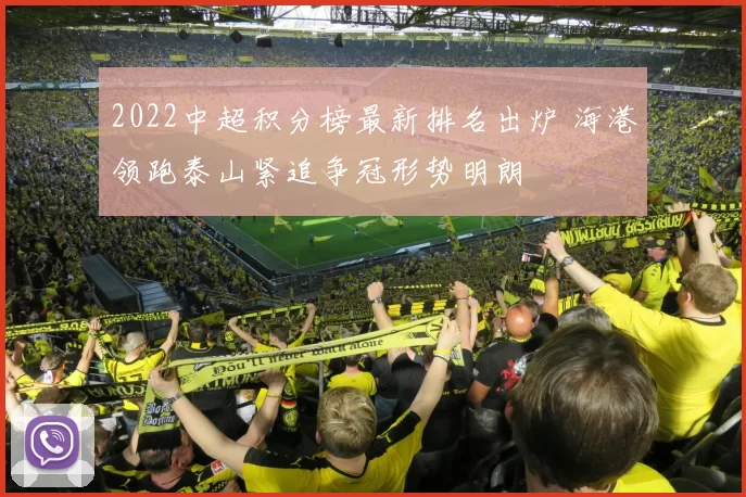 2022中超积分榜最新排名出炉 海港领跑泰山紧追争冠形势明朗