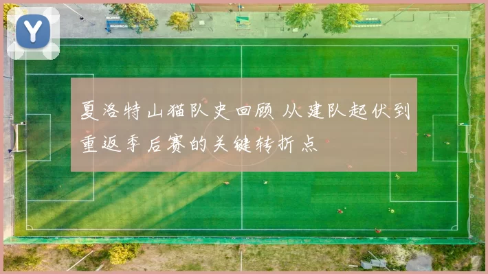 夏洛特山猫队史回顾 从建队起伏到重返季后赛的关键转折点