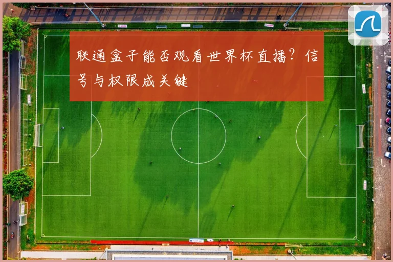 联通盒子能否观看世界杯直播？信号与权限成关键