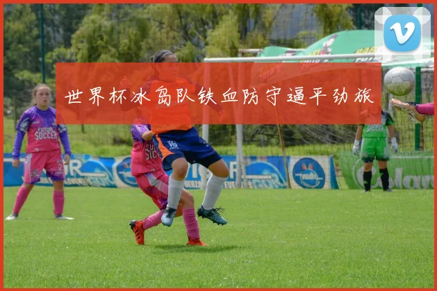 世界杯冰岛队铁血防守逼平劲旅
