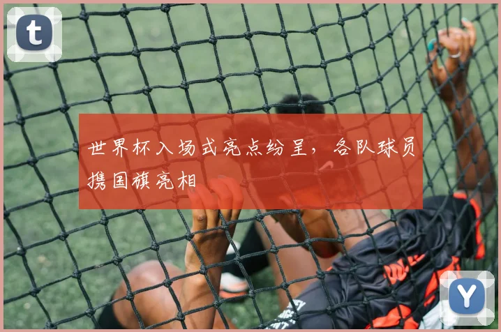 世界杯入场式亮点纷呈，各队球员携国旗亮相