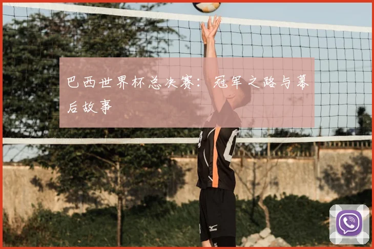 巴西世界杯总决赛：冠军之路与幕后故事