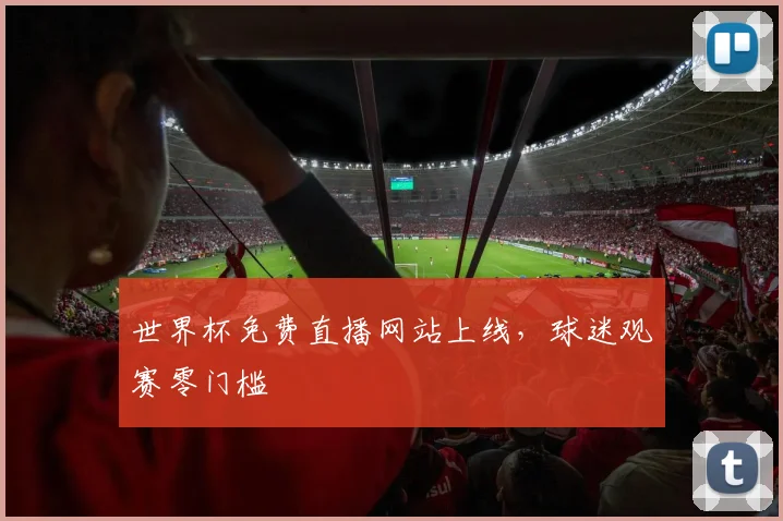 世界杯免费直播网站上线,球迷观赛零门槛